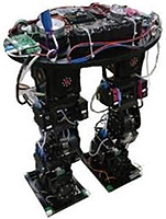 第1版大型人形機器人